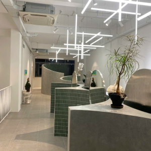 Anh Dương - Gò Vấp